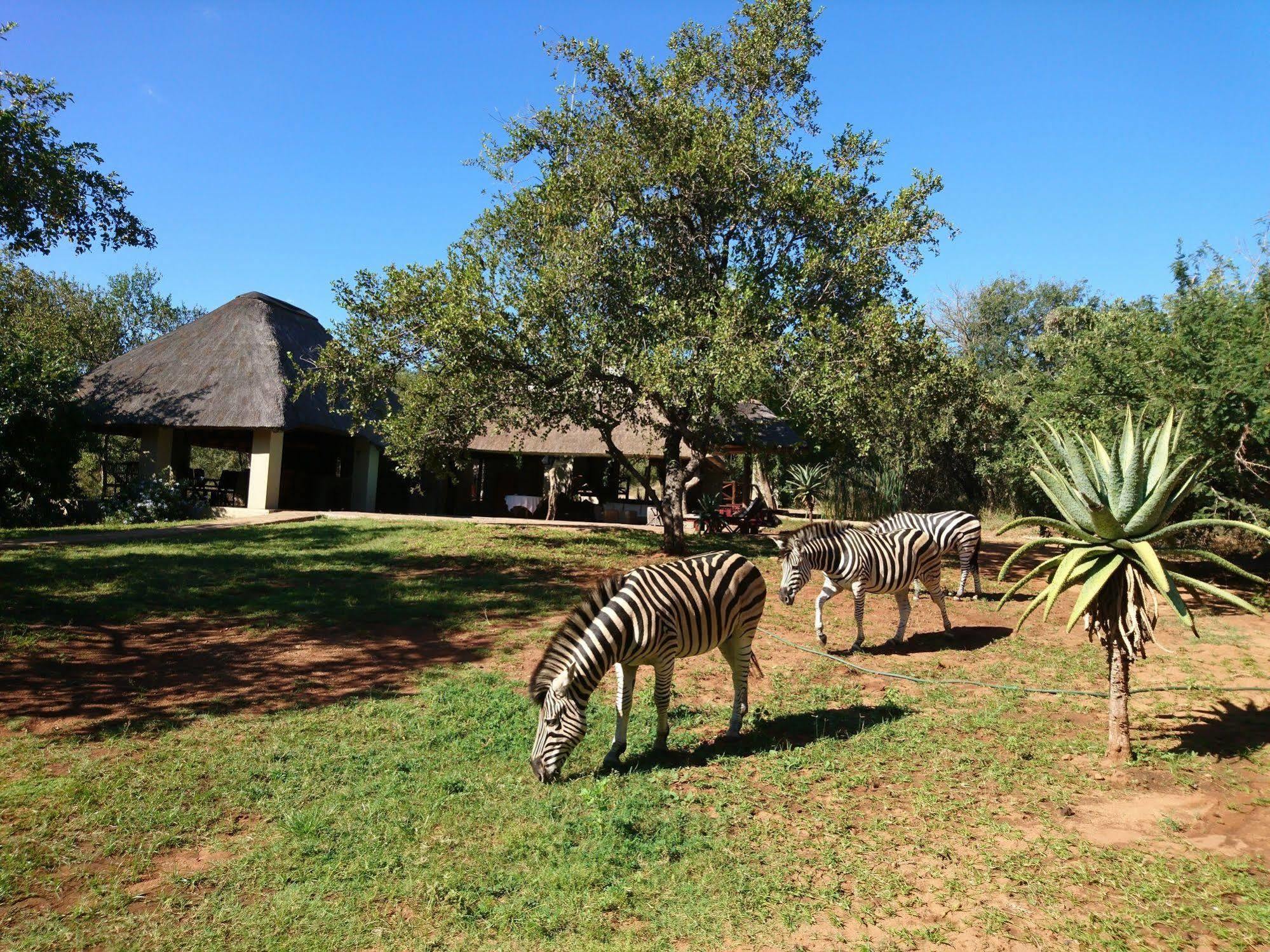 Royal Kruger Lodge Marloth Park Exteriér fotografie